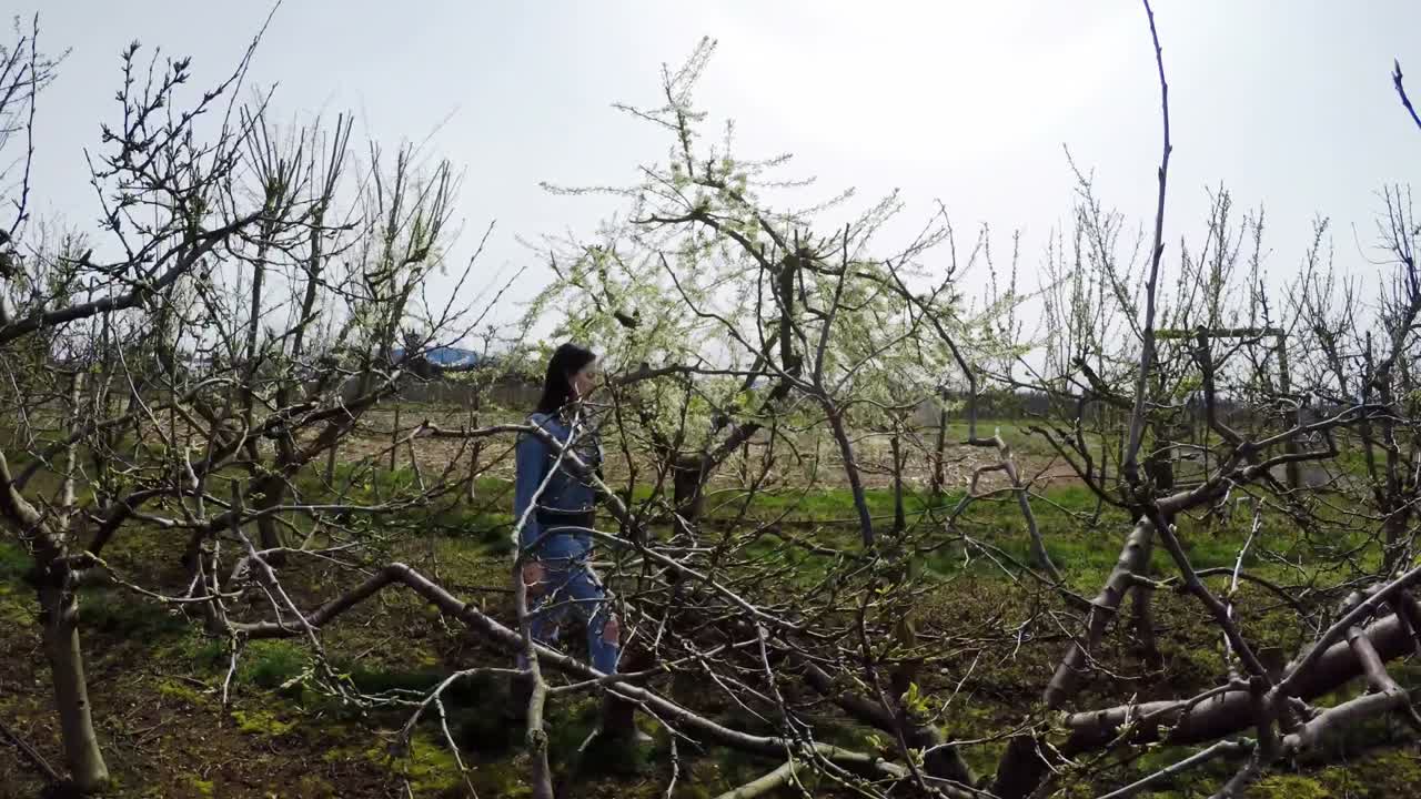 포도 ⁇  을 가로질러  ⁇ 는 여자 4k