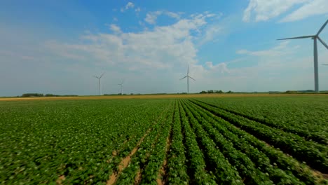 aerial drone flight over green agricultural field towards modern wind turbines