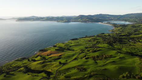 vista aérea del área de dominio de dunedin warrington donde las verdes colinas se encuentran con el océano