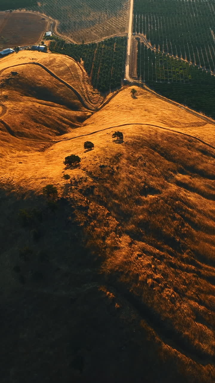 Splendid view of the rolled bare rocks neighboring with green vineyards in California. Highway passes by the surface of mountain. Top view. Vertical video