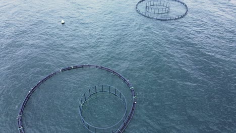 fish farming unit of sea bass and sea bream in growing cages in sea