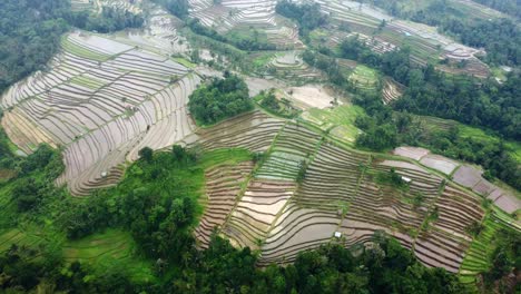 Aerial-4K-Drone-Footage:-Green-Jatiluwih-Rice-Terraces-UNESCO,-Ubud,-Bali