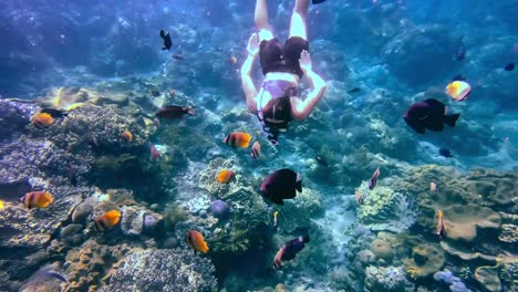 a girl snorkeling below the surface among schools of fish on a beautiful reef