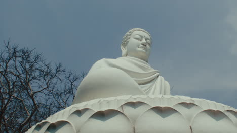 panorama of a large sitting buddha statue in the forest