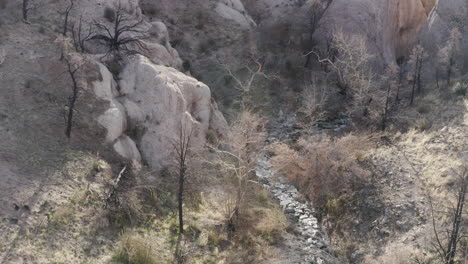 aerial view of a dry rocky canyon with bare trees and a creek bed
