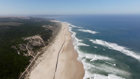 vista aérea de la playa costera y las olas