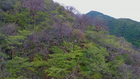 Aerial-shot-of-the-jungle-in-the-Chiflon-park,-Chiapas