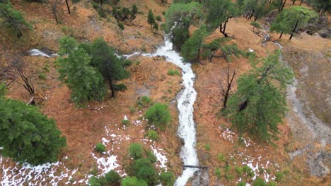 aerial view of a stream with snow and trees