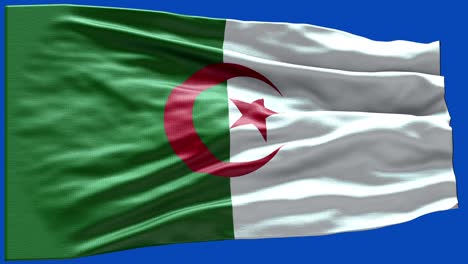 4k highly detailed flag of algeria - algeria flag high detail - national flag algeria wave pattern loopable elements