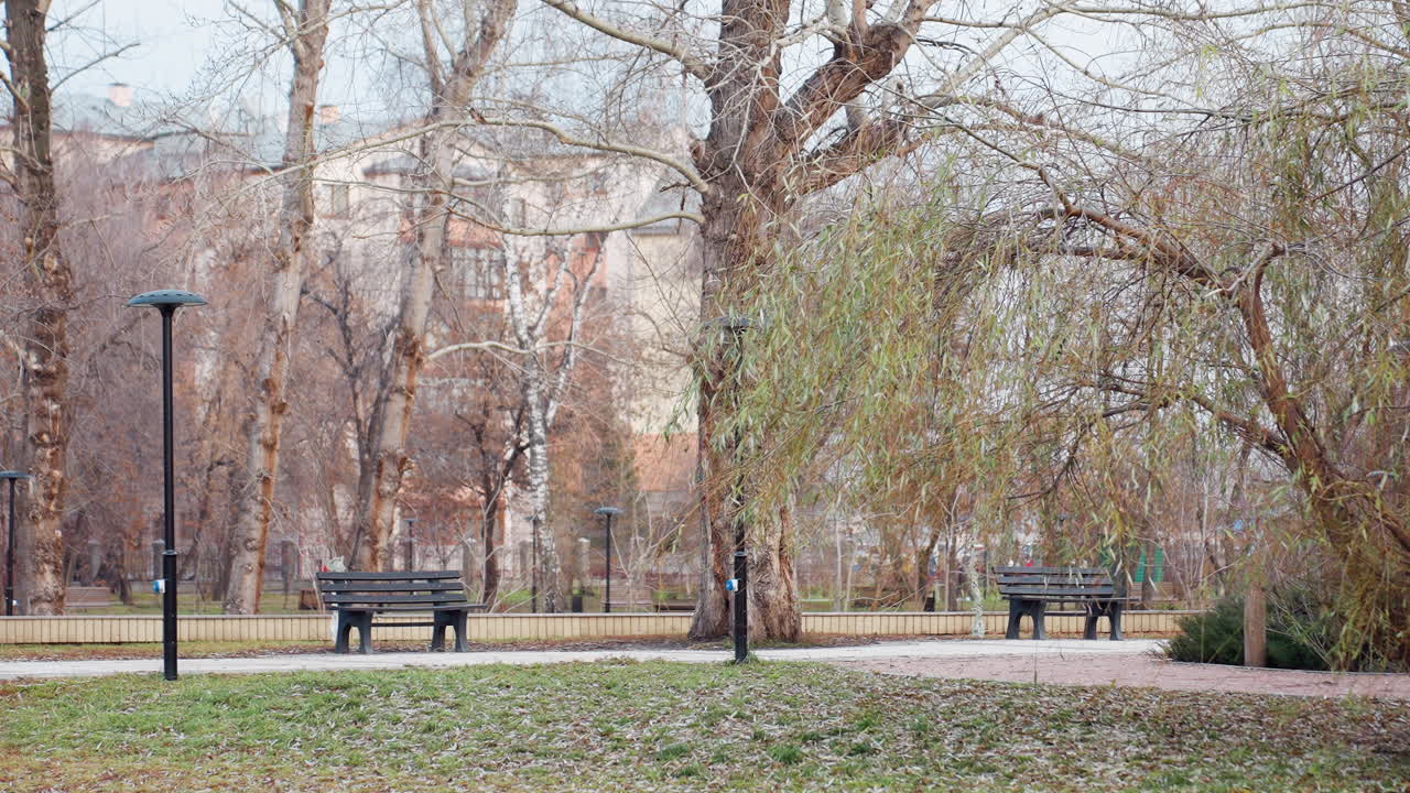 Leafless autumn trees surround park benches while people walk through tranquil city garden, with hanging willow branches, warm earth tones, and a peaceful public environment in seasonal transition