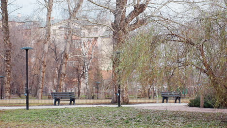 leafless autumn trees surround park benches while people walk through tranquil city garden, with hanging willow branches, warm earth tones, and a peaceful public environment in seasonal transition