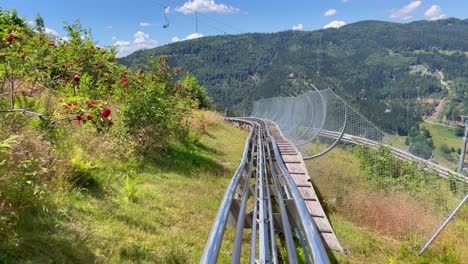 montaña rusa en el bosque