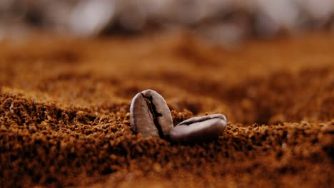 dos granos de café en polvo de café tostado
