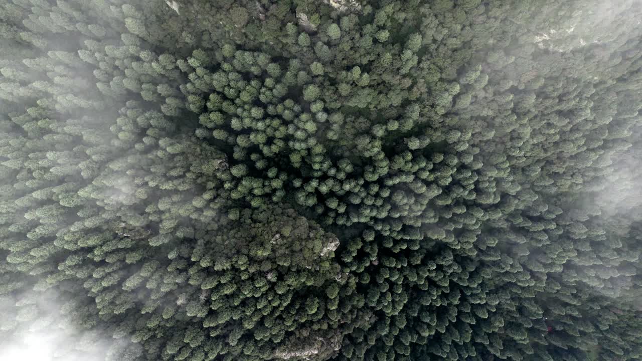 disparo de un dron descendiendo del bosque que rodea la ciudad de méxico durante una mañana muy nublada