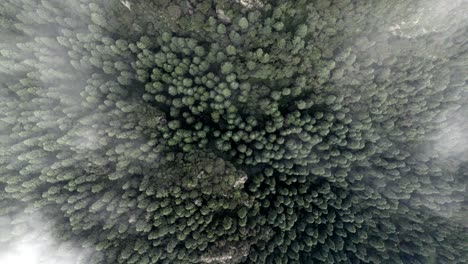 drone-shot-descending-from-the-forest-surrounding-mexico-city-during-a-very-cloudy-morning