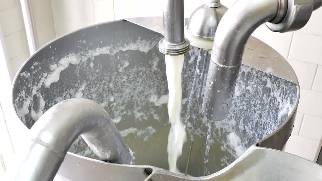 우유 산업에서 치즈 생산