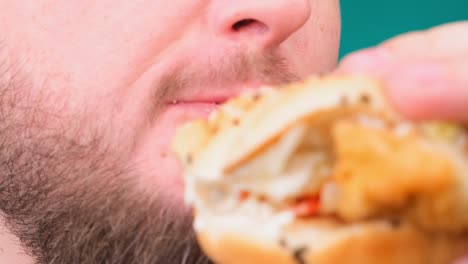 크로마 키에 햄버거를 는 남자의 클로즈업 - 건강하지 않은 식단과 건강하지 않은 다이어트의 개념, 높은 콜레스테롤