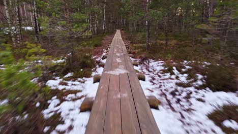 recreational walkway in dense forest, fast dolly forward view