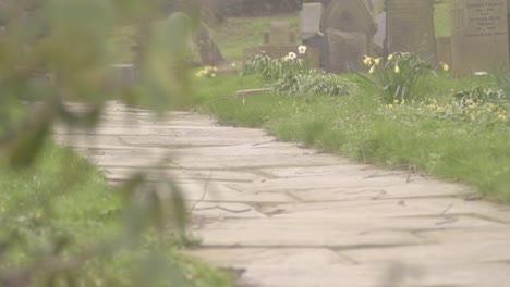 old graveyard in rural england