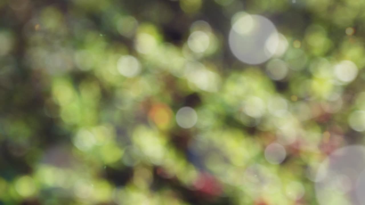 보케와 함께 추상적인 스프링 배경