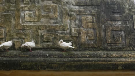 ancient stone carving walls with dove white birds imperial citadel of thang long hanoi vietnam