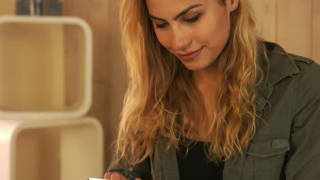 Graphic-designer-using-tablet-pc-at-her-desk