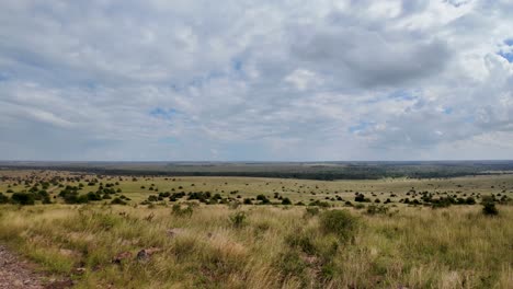 Wilde-Savannenlandschaft-Savanne-Afrikanische-Wilde-Natur-Mit-Akazienbäumen-Gras-Sand