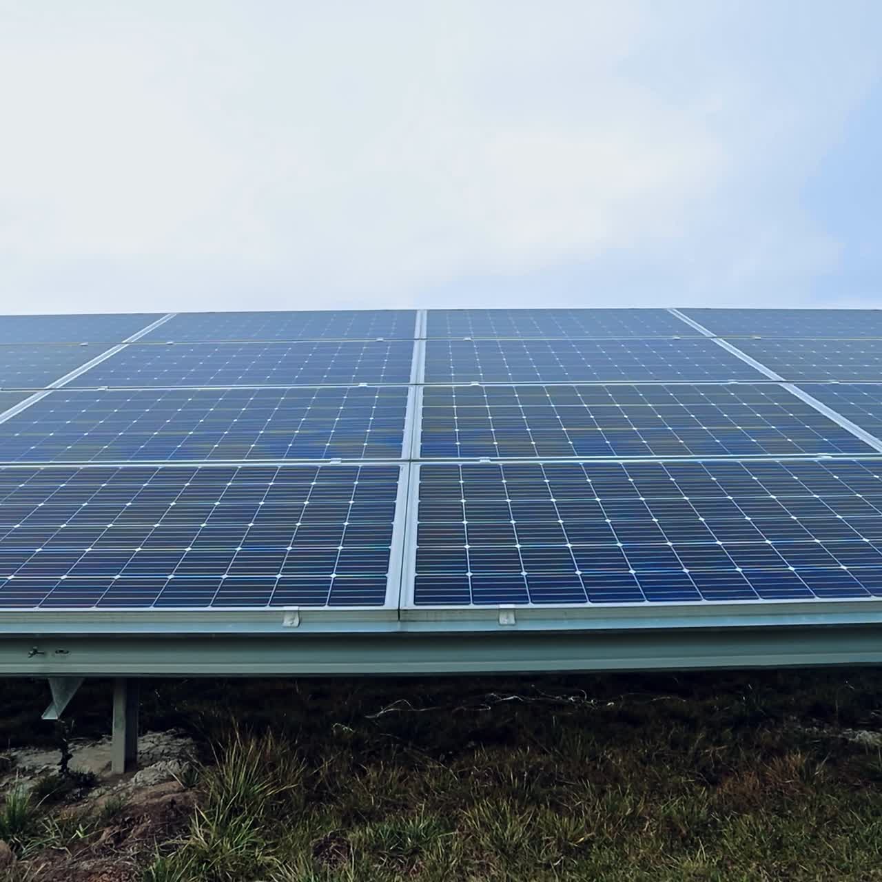 paneles de energía solar