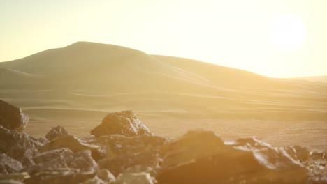 aerial view on big sand dunes in sahara desert at sunrise