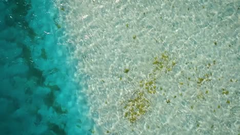 drone video flying low over a clear caribbean sea, in los roques, venezuela