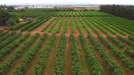 En-El-Encantador-Mundo-De-La-Vida-Campesina-A-Través-De-Impresionantes-Imágenes-De-Viajes-Con-Drones,-Que-Capturan-La-Belleza-Rústica-De-Los-Paisajes-Rurales,-Las-Culturas-Tradicionales