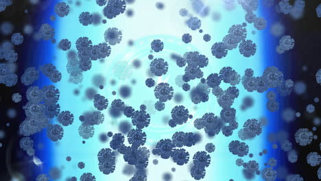 animation of covid 19 cells on blue background