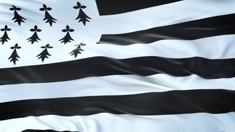 brittany (region of france) flag waving in the wind with highly detailed fabric texture. seamless loop