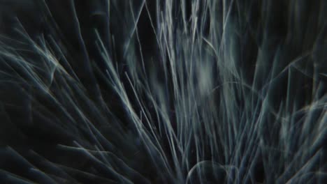 Macro-shot-of-a-windscreen-of-a-shotgun-microphone,-furry-cover,-camera-gear,-sound-record-equipment,-slow-motion-120-fps,-Full-HD,-pan-right-smooth-movement