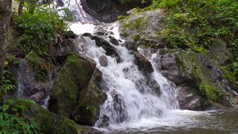 tembakan rata-rata air terjun jatuh ke kolam kecil dari hutan hijau