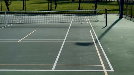 tennis court wide net green turf perth australia