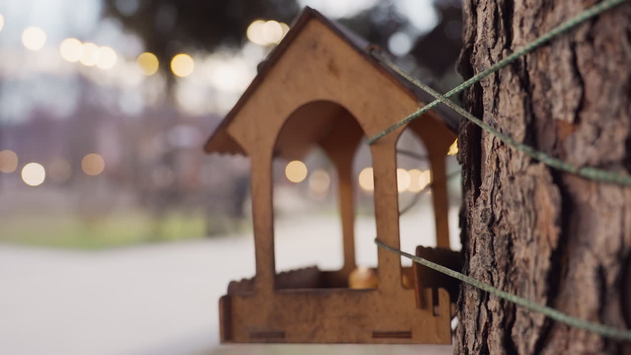 Side view of birdhouse tied to tree trunk with green rope in evening park setting, soft bokeh background lights and gentle movement creating peaceful calm ambiance of outdoor environment