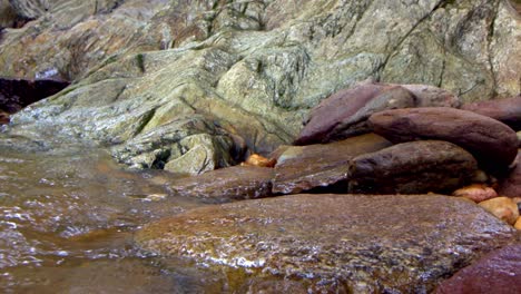 river water levels in brazil are at historic lows due to drought cause by climate change - isolated