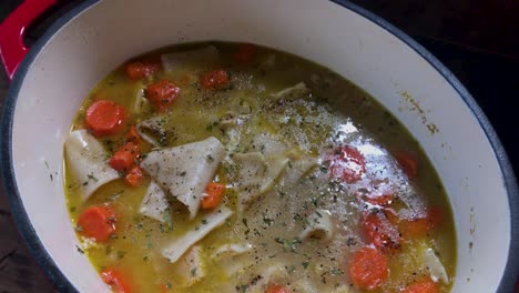 zooming-in-on-large-cast-iron-pot-of-homemade-chicken-and-dumplings-with-carrots