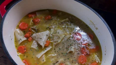acercándonos a una gran olla de hierro fundido con pollo casero y albóndigas con zanahorias.
