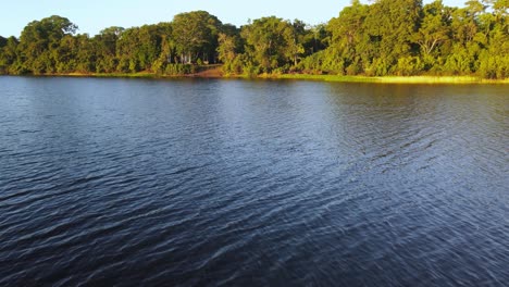 Aerial-view-moving-forward-shot,-scenic-view-of-the-amazon-river-approaching-the-amazon-forest-in-Colombia