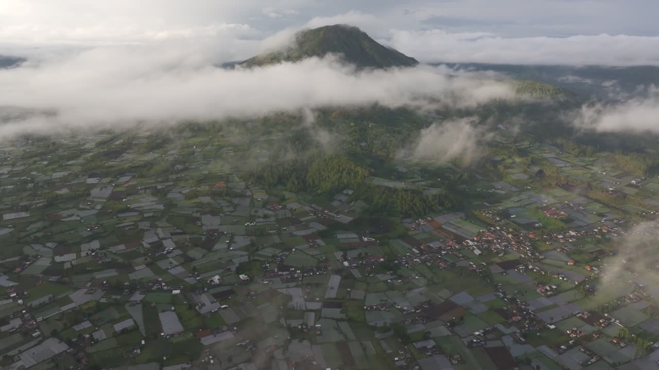 Ánh sáng ban mai trên những cánh đồng lúa xanh gần núi Batur, Bali