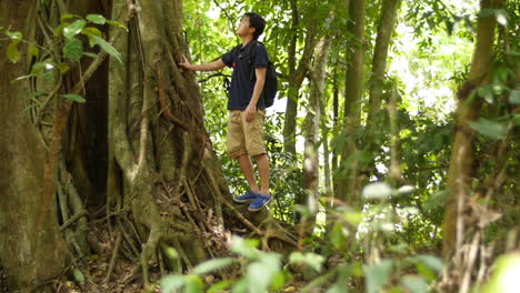 man hiking in a lush forest