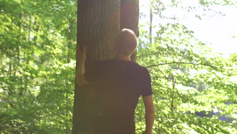 young man approaches high tree in forest and looks up, slow motion, sun flares