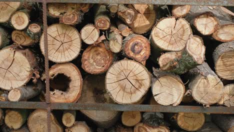 pile of raw firewood ready for winter. chopped firewood stack with bark