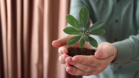 y símbolo del concepto de medio ambiente verde