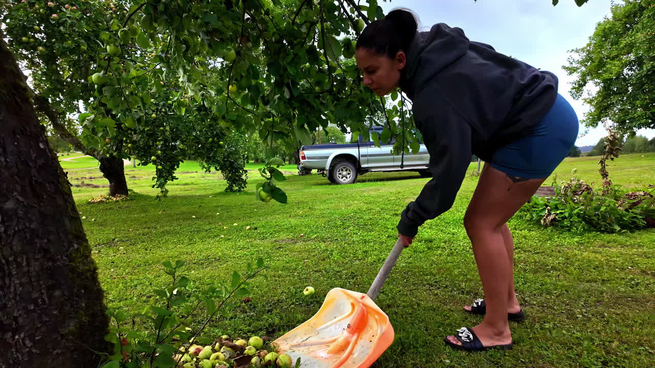 Young woman using snow shovel to pick fallen apples, slow motion view