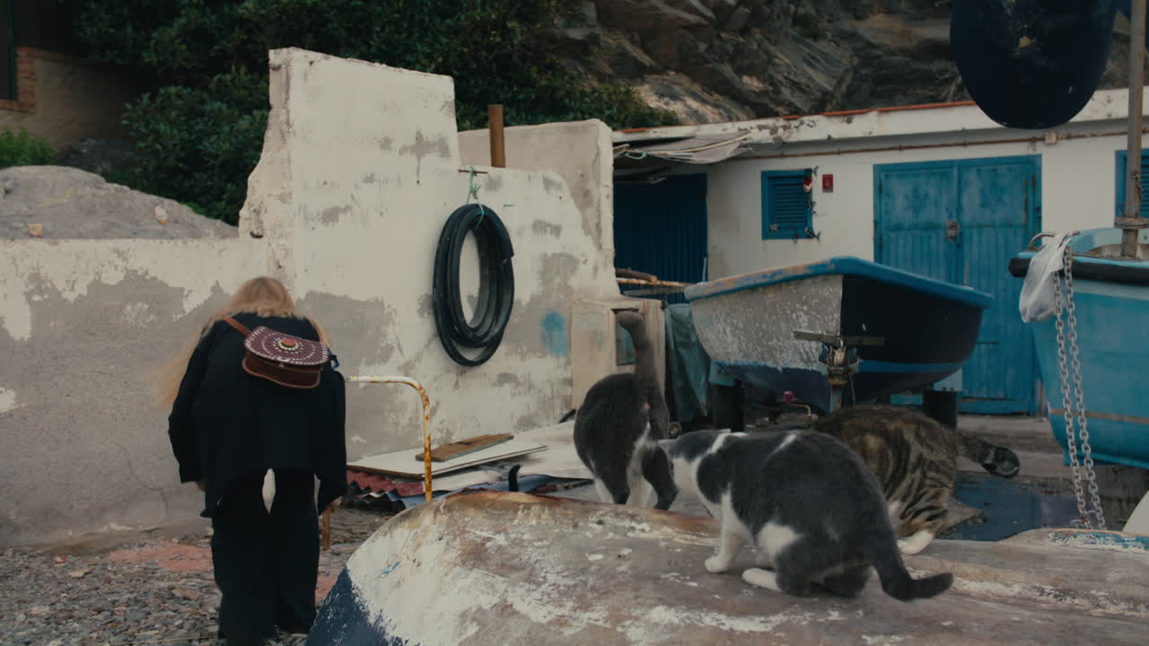 Mulher se inclina para alimentar gatos de rua perto de barcos desgastados e paredes com pintura descascando no sul da Europa.