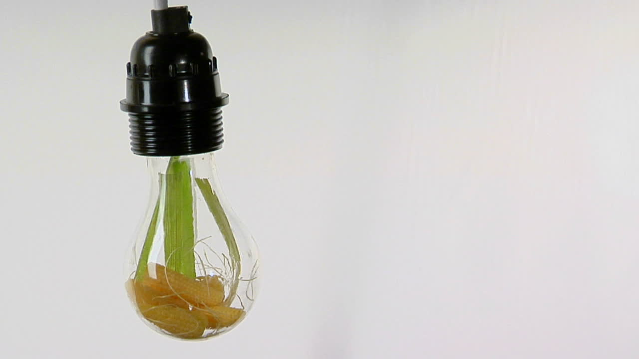 전구에는 옥수수 껍질이 들어 있습니다.