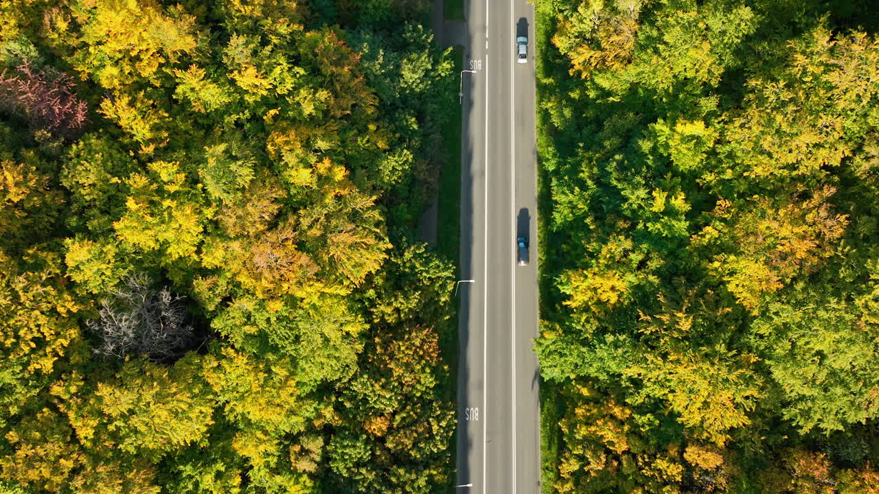 Vertical aerial shot of a car driving through a forested road with bright autumn leaves near Gdynia.